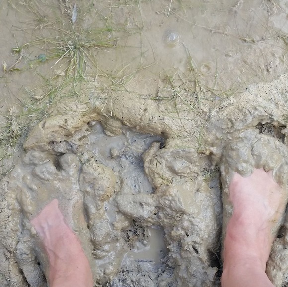 Meet your Posher, Fern - Picture 1 of 1